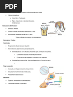 Cnidarios y Equinodermos