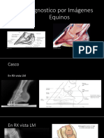 Diagnostico Por Imágenes Casco Completo