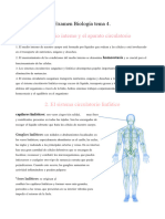 Examen Biologia Tema 4