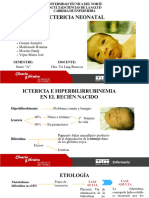 Maldonado Romina Grupo3 Ictericia Neonatal