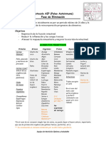 Protocolo AIP 2022