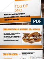 CARBOHIDRATOS Gastronomia