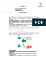  Criptografía 