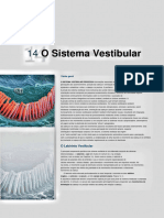 Sistema Vestibular