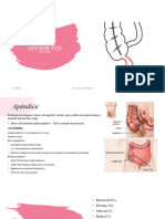 Apendicitis 1