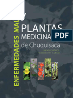 Plantas Medicinales Mojocoya