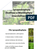 Pteridofitas 2