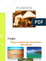 Aula03 Fungos