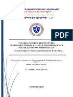 Valorisation Des Rejets Oxydés Cuprocobaltifères À Gangue Dolomitiques Par Solovolixiviation Ammoniacale.