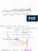 Fisio 3f 8