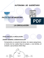 Fisiologia de La Circulacion 1