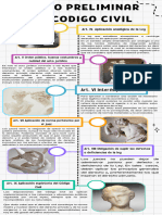 Resumen Tema Titulo Preliminar Del Codigo Civil