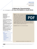 Morphologic and Molecular Characterization of Psoroptes Ovis From Pet Rabbits in South Korea