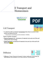 Cell Transport and Homeostasis PPT USBT