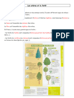 Les Arbres Et La Forêt