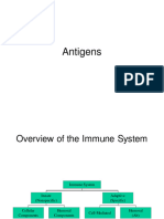 Antigens 2022-2023