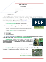 LAS-PLANTAS-Biología de Primero