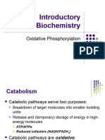 8.OxidativePhosphorylation Complete