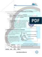 Tema 15 Enzimas