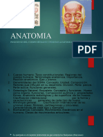 Anatomia (Posicion Del Cuerpo Humano y Posicion Anatomica)