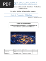 FINAL Rapport de Stage 2023