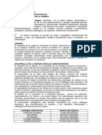 Resumen Orientadora 15 de Morfo 1 de Primer Año