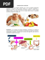 Alimentaciòn y Nutriciòn I