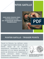 Puntos Gatillo