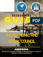 Ecosoc BG Guide