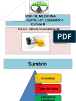 Aula 8 Urinã - Lise