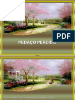 Pedaco Perdido