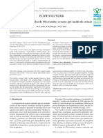 Agamic Multiplication of Plectranthus Ornatus by Cuttings