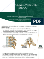 Costovertebral