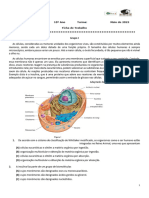 FT 3 Bio 10AB 22.23