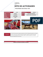 Reporte de Actividades: Programa Nacional Pais