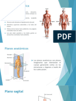 Fisiología Terminología.