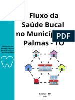 Cartilha Fluxo Da Saúde Bucal No Município de Palmas