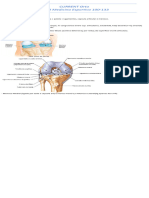 Current Orto Cap 3 Medicina Esportiva 100-133: Lesões de Joelho