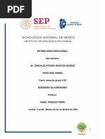 Sistema Endocrino Animal