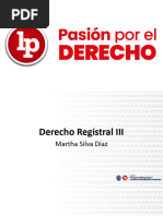 PPTS SESIÓN 17 Derecho Registral II Tema 9 Al 10 VB