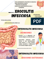 Enterocolitis Infecciosa