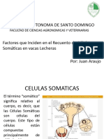 Presentación Mastitis