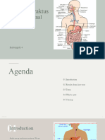 Anatomi Traktus Gastrointestinal