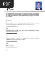 PDF Documento