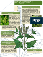 17 Poster Formation Madagascar Ocimum Gratissimum JDM