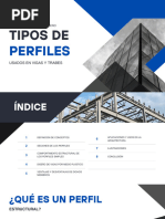 Tipos de Perfiles