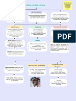 Mapa Conceptual Ortesis Columna Cervical