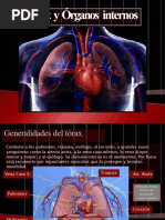 Toraxyrganosinternos