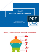 Metabolismo de Lipidos 1: Tema 05