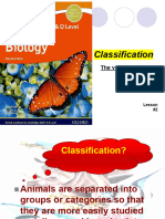 Classification